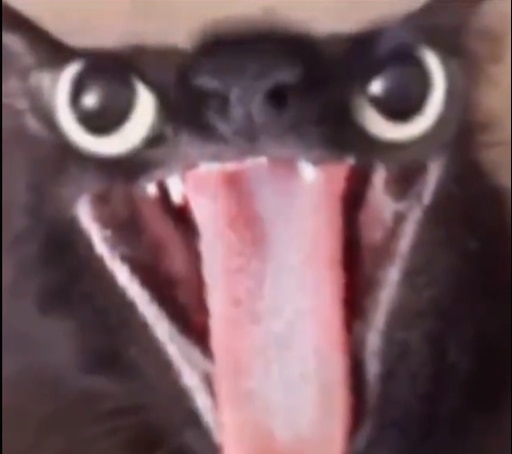 Мем с открытым ртом Мем с открытым ртом