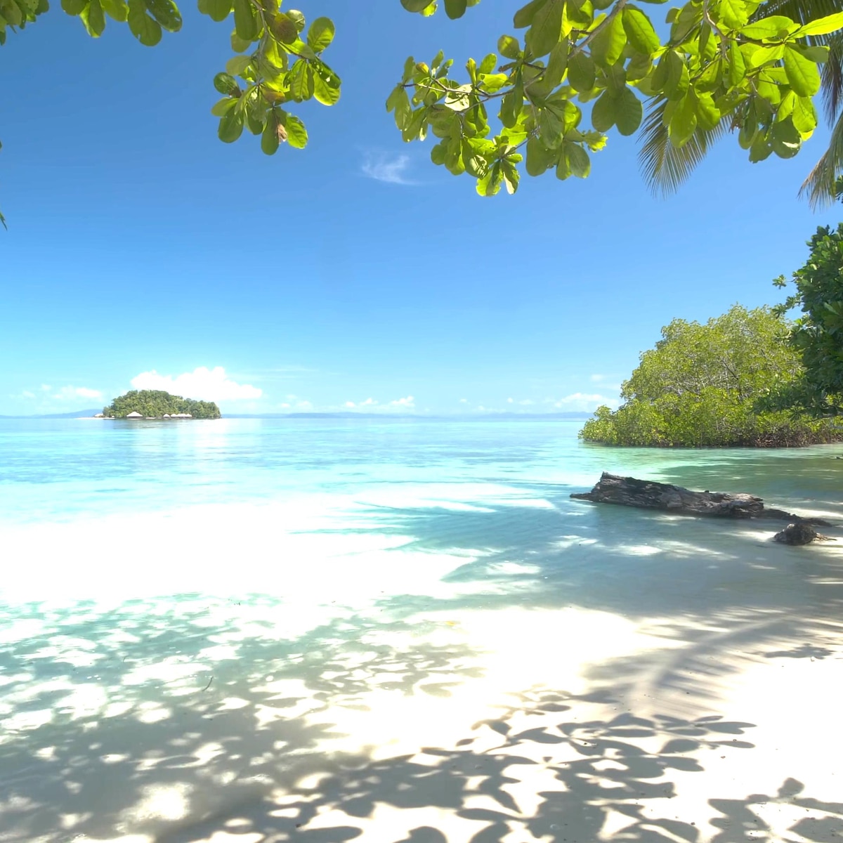 4K HDR Tropical Beach