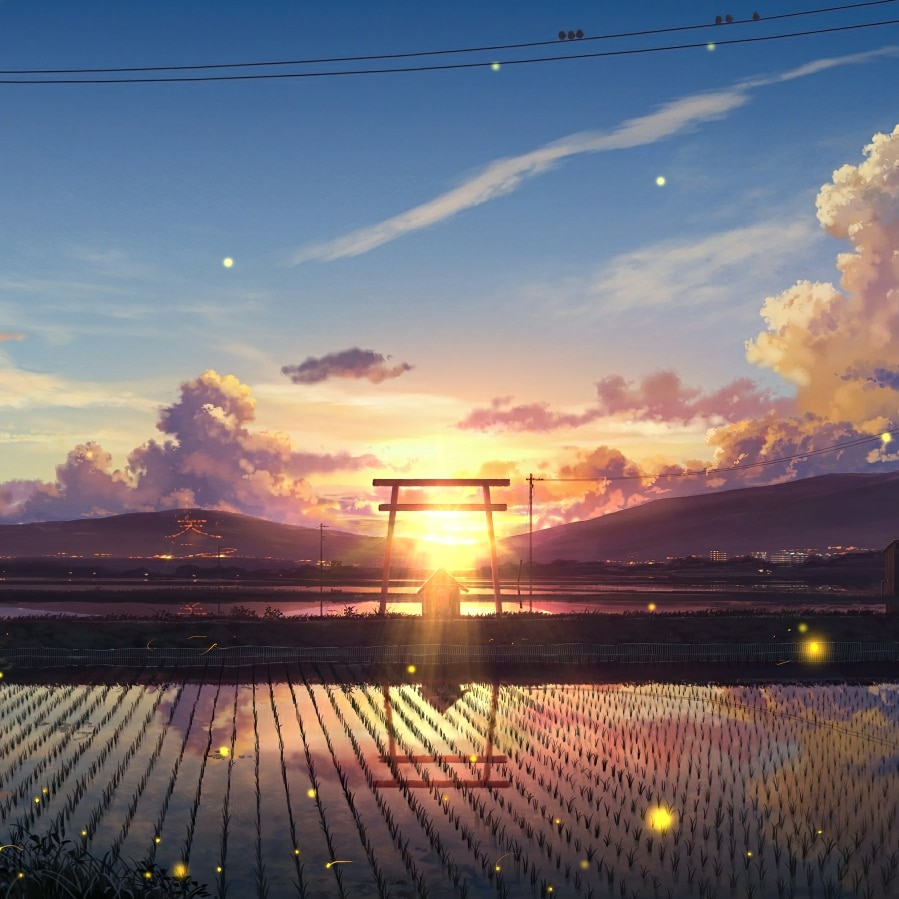 [4K] Landscape Sunset - Torii / 鳥居