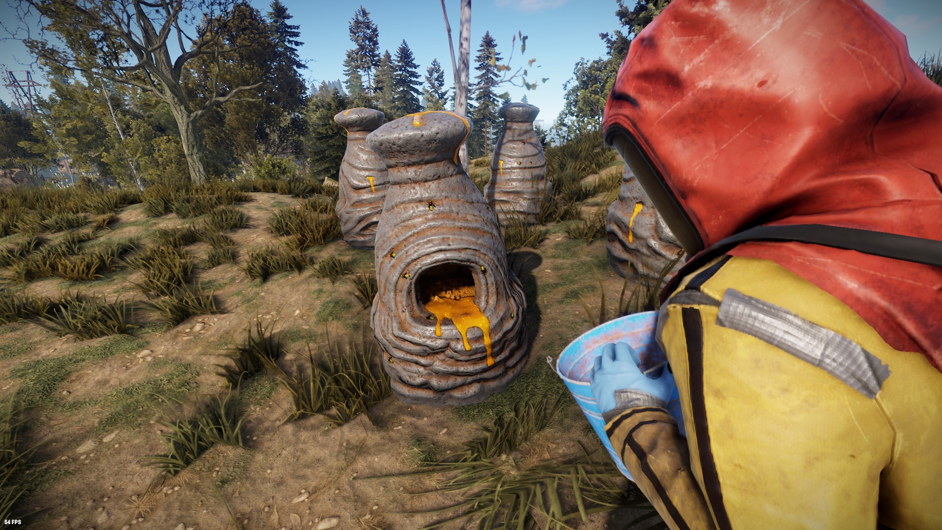 Bee Hive thumbnail 11