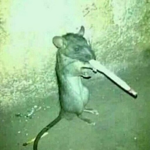 Мышь с сигаретой