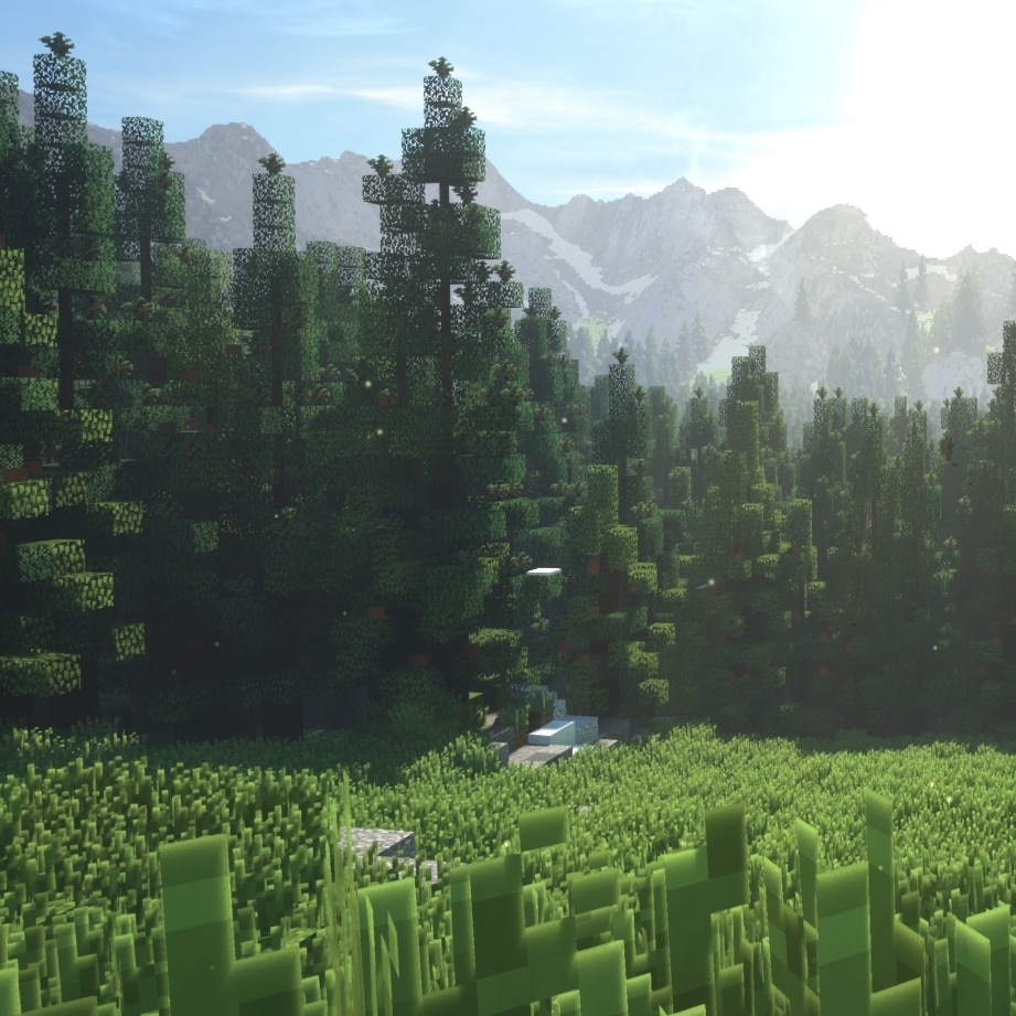 Minecraft Scene