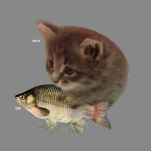 Мем коты с рыбами Мем коты с рыбами