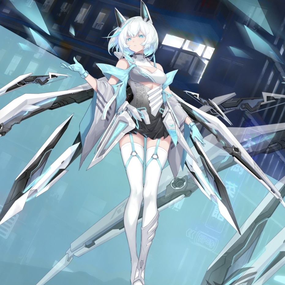 RO姬雪武战姬（夜）