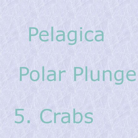 How to pronounce plunge