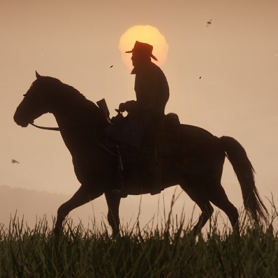 Red dead redemption 2