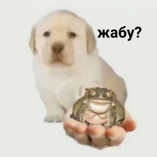 Мем собака держит собак Мем собака держит собак