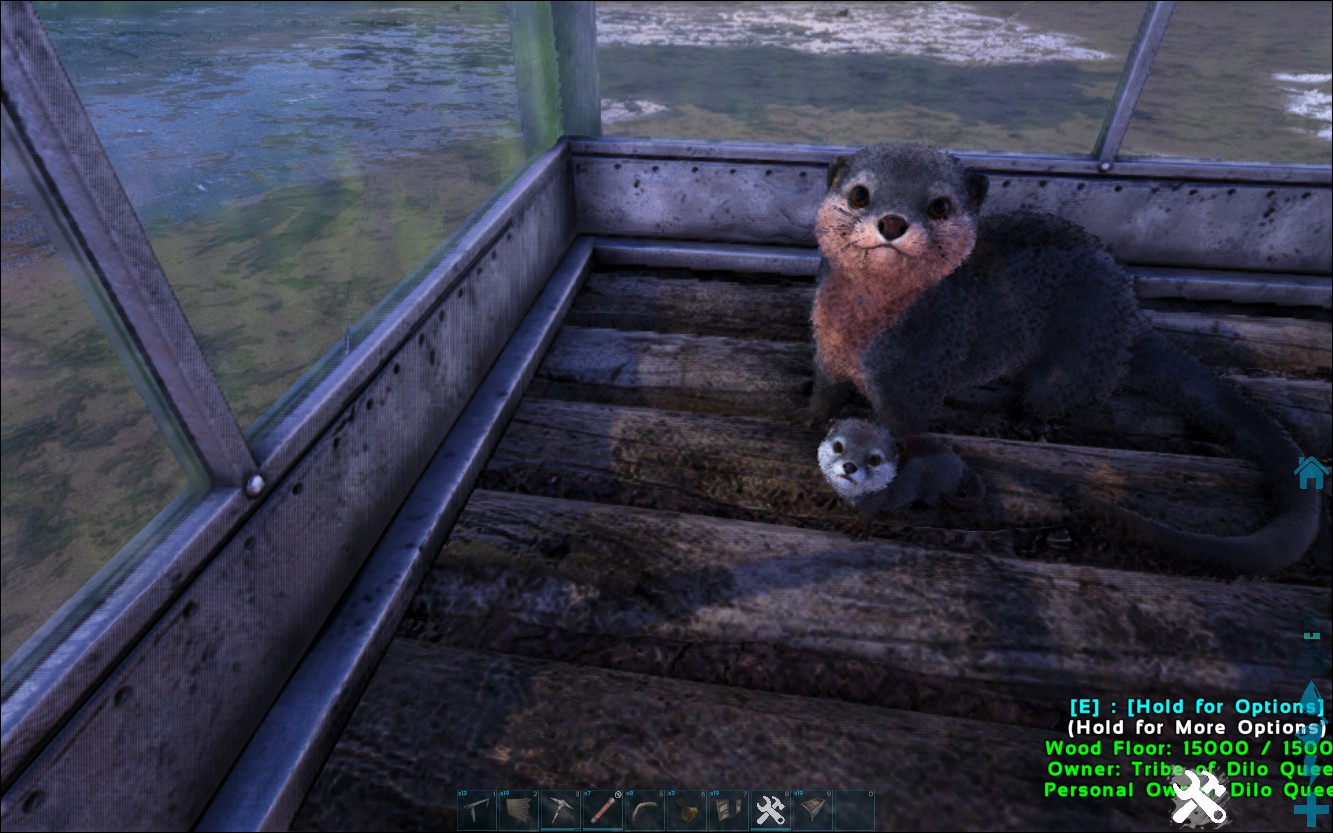 Steam Community :: Guide :: Cute ARK Creatures and Their Useful Uses