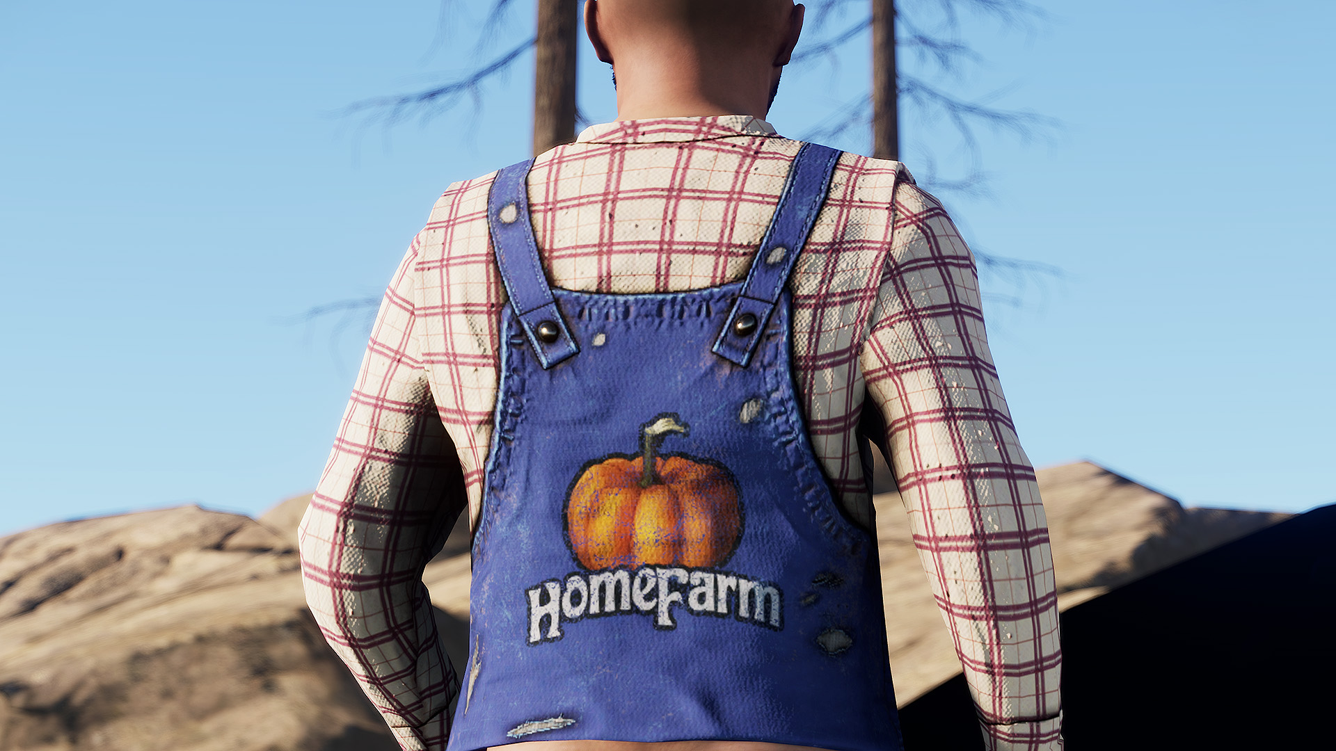 Farmer Overalls Top thumbnail 6