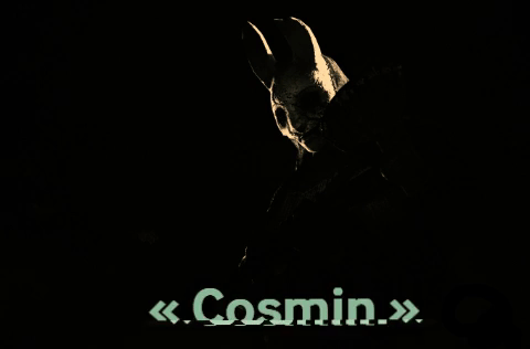 Steam Community :: « Cosmin »