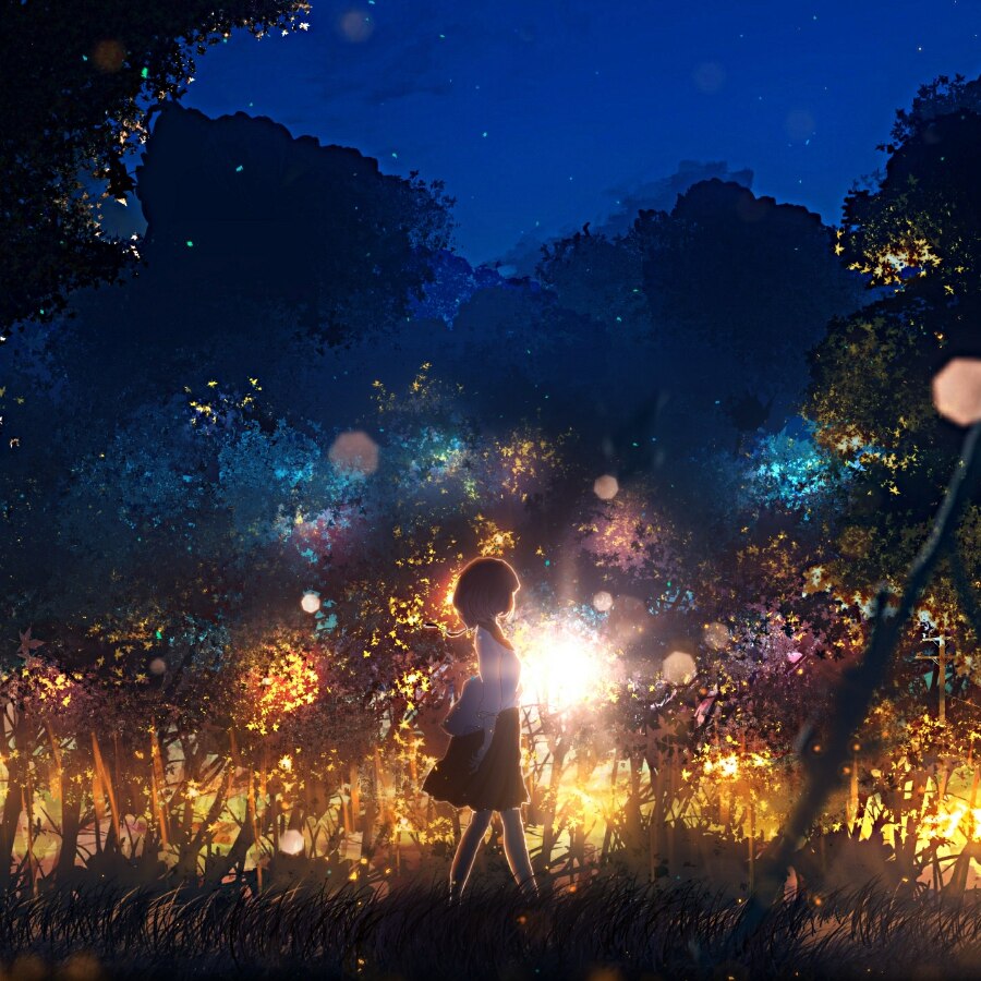 初秋的夜