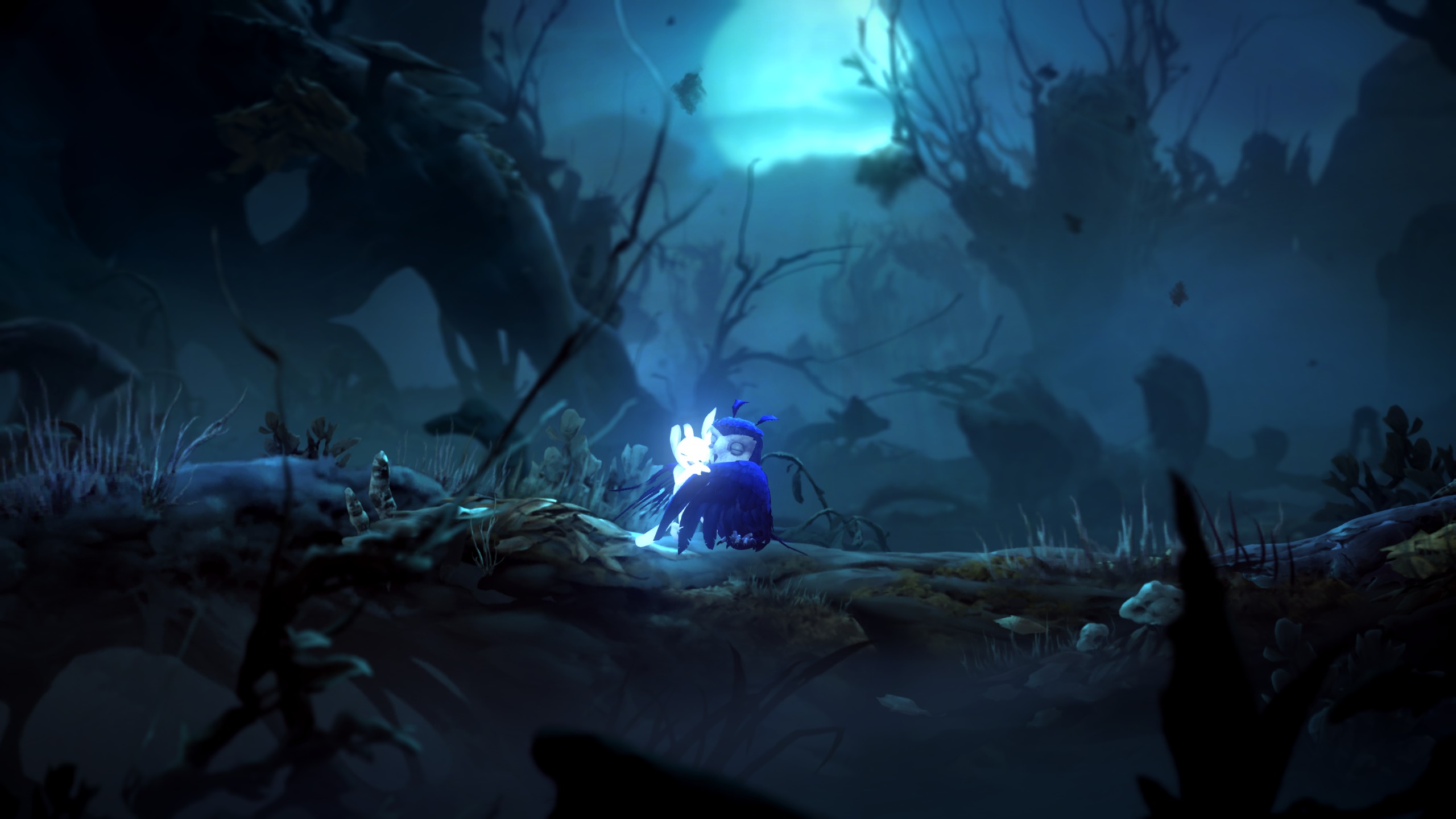 ori and the will of the wisps on steam