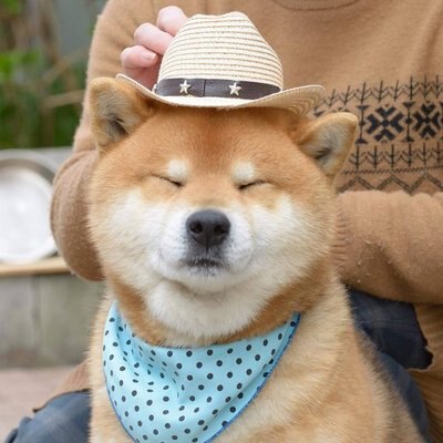 Ину смешные фото Ину смешные фото