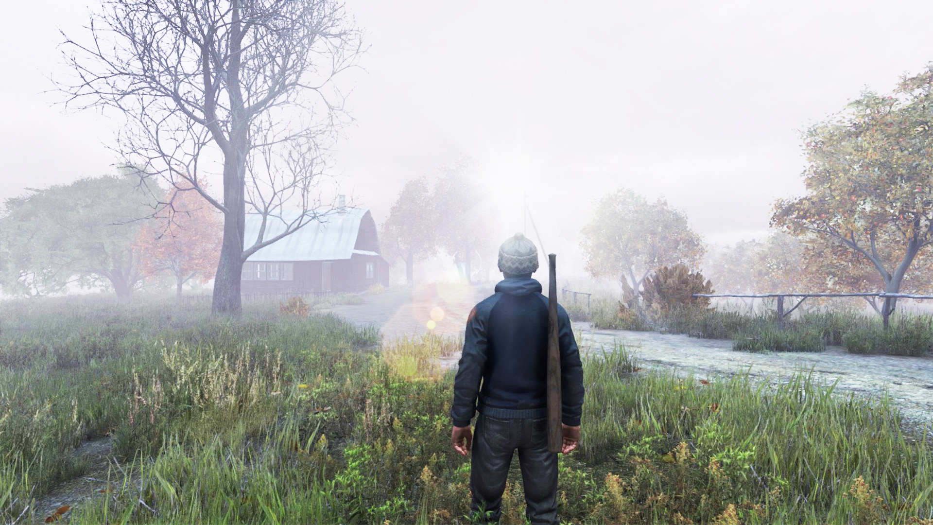 DayZ: from mainstream to ostracism
