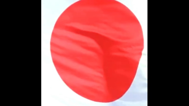 Steam 工作坊 Japan Flag 日章旗