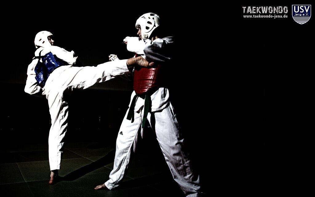 Steam Community :: Taekwondo
