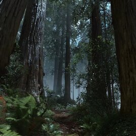 Steam Workshop::Star Wars Battlefront Ewok Village Night Forrest Moon Of  Endor Ultra Settings 1080p @60fps With Audio