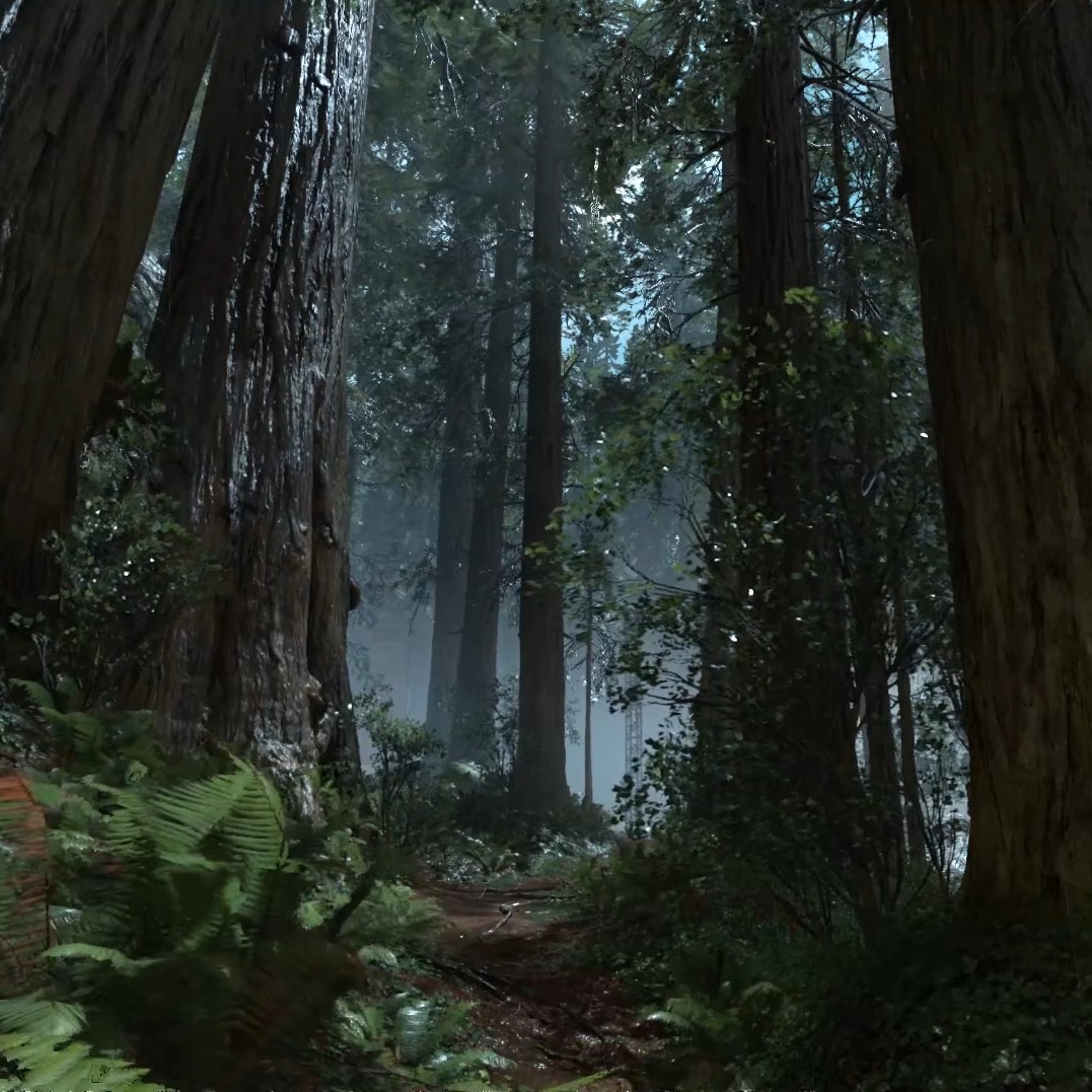 Star Wars Battlefront Endor Forrest Rain Soothing Ultra Settings 1080p @60fps With Audio