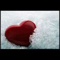 ark survival evolved