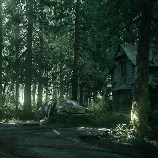 Лес из the last of us