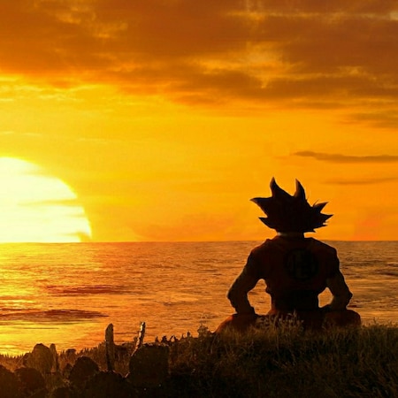 Dragon Ball - sunset