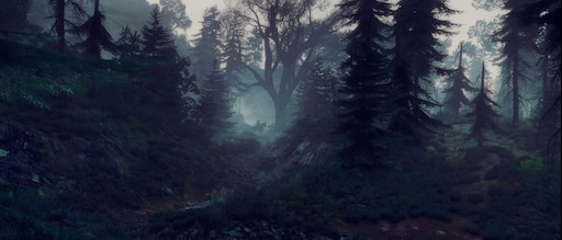 Включи лесной 3. Лес Бракион Ведьмак. Ведьмак 3 ночь пейзаж. Темный лес Ведьмак.