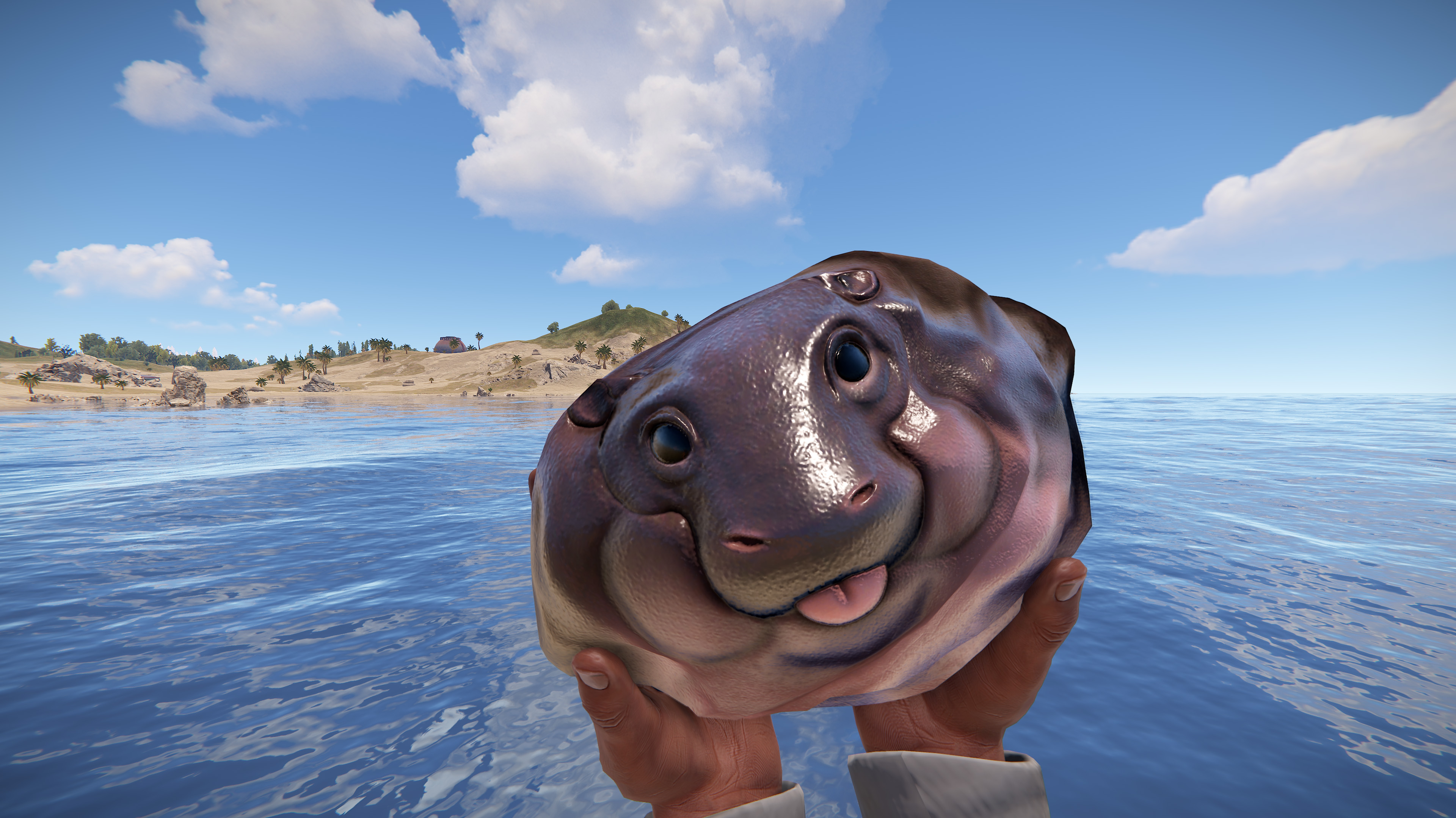 Baby Hippo Rock screenshot 1