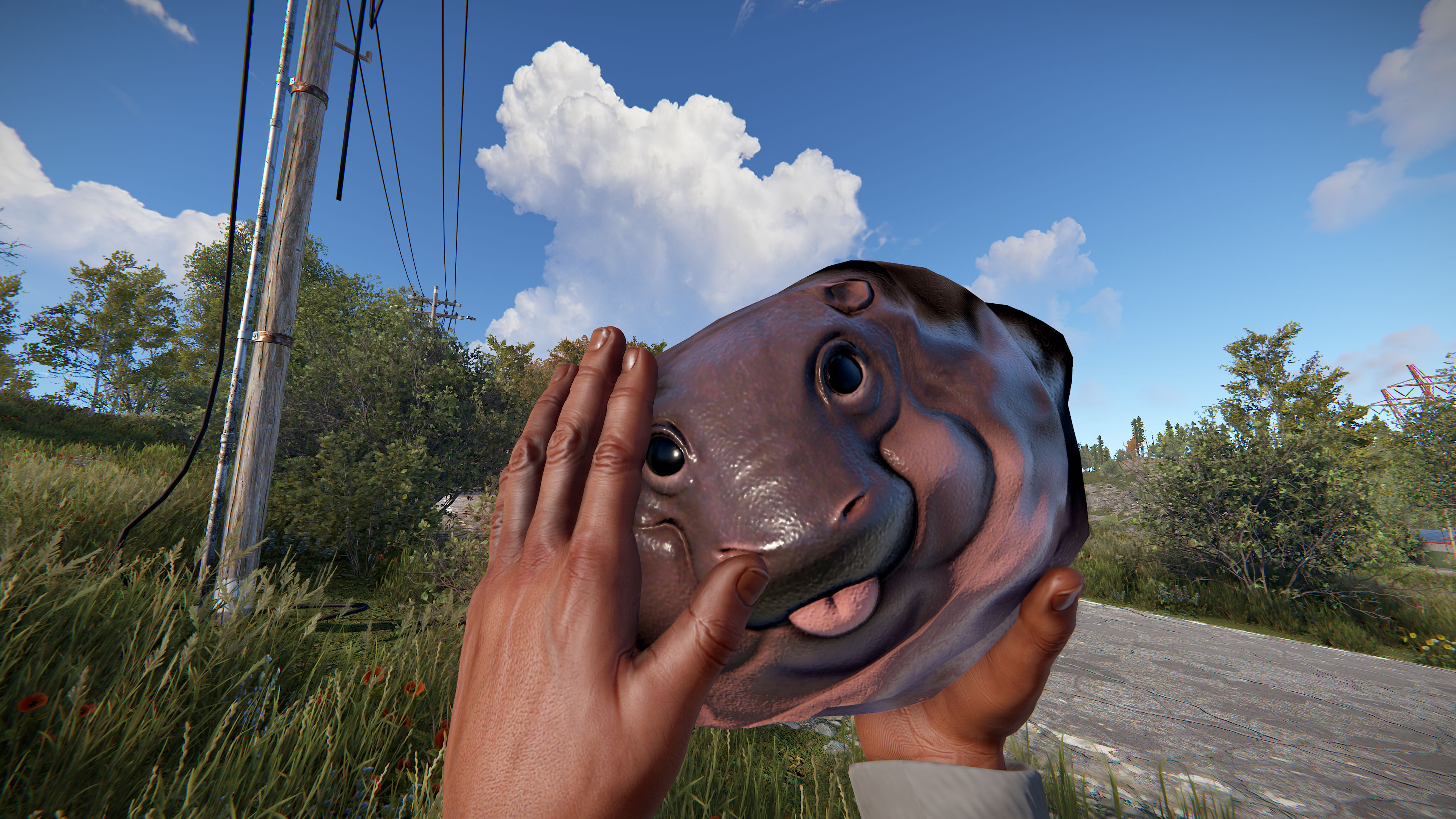 Baby Hippo Rock thumbnail 2