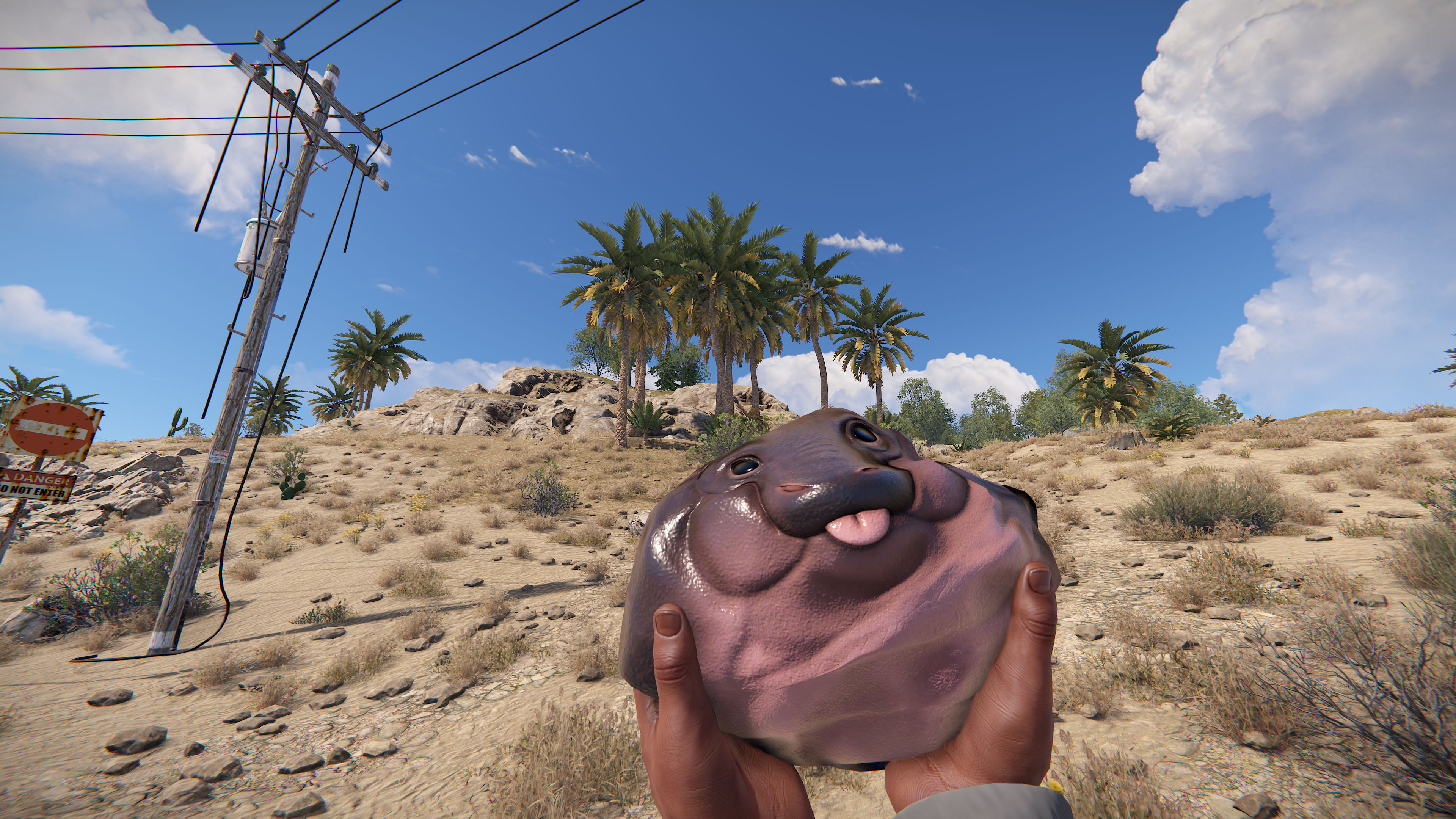 Baby Hippo Rock thumbnail 4