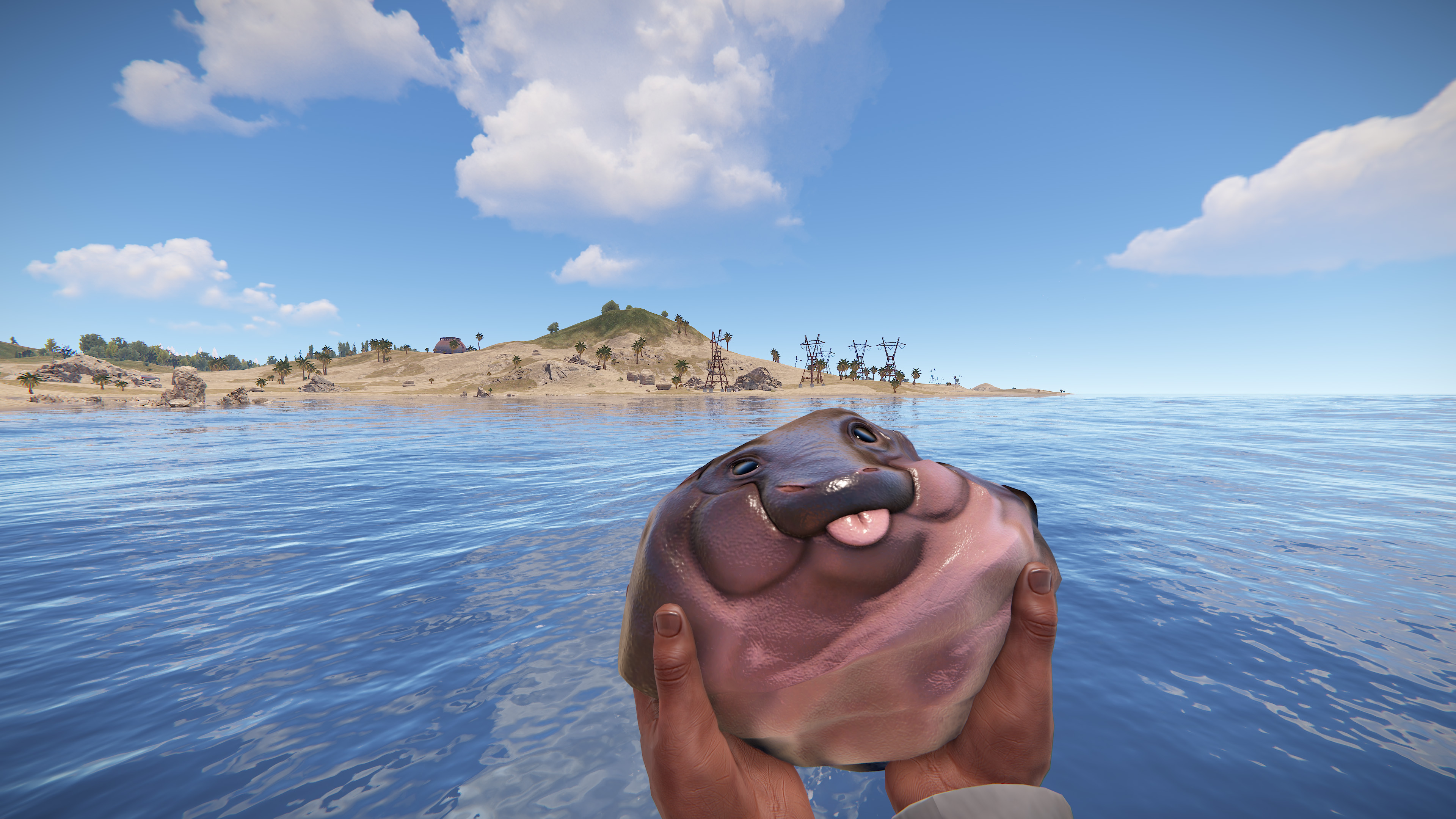 Baby Hippo Rock thumbnail 6