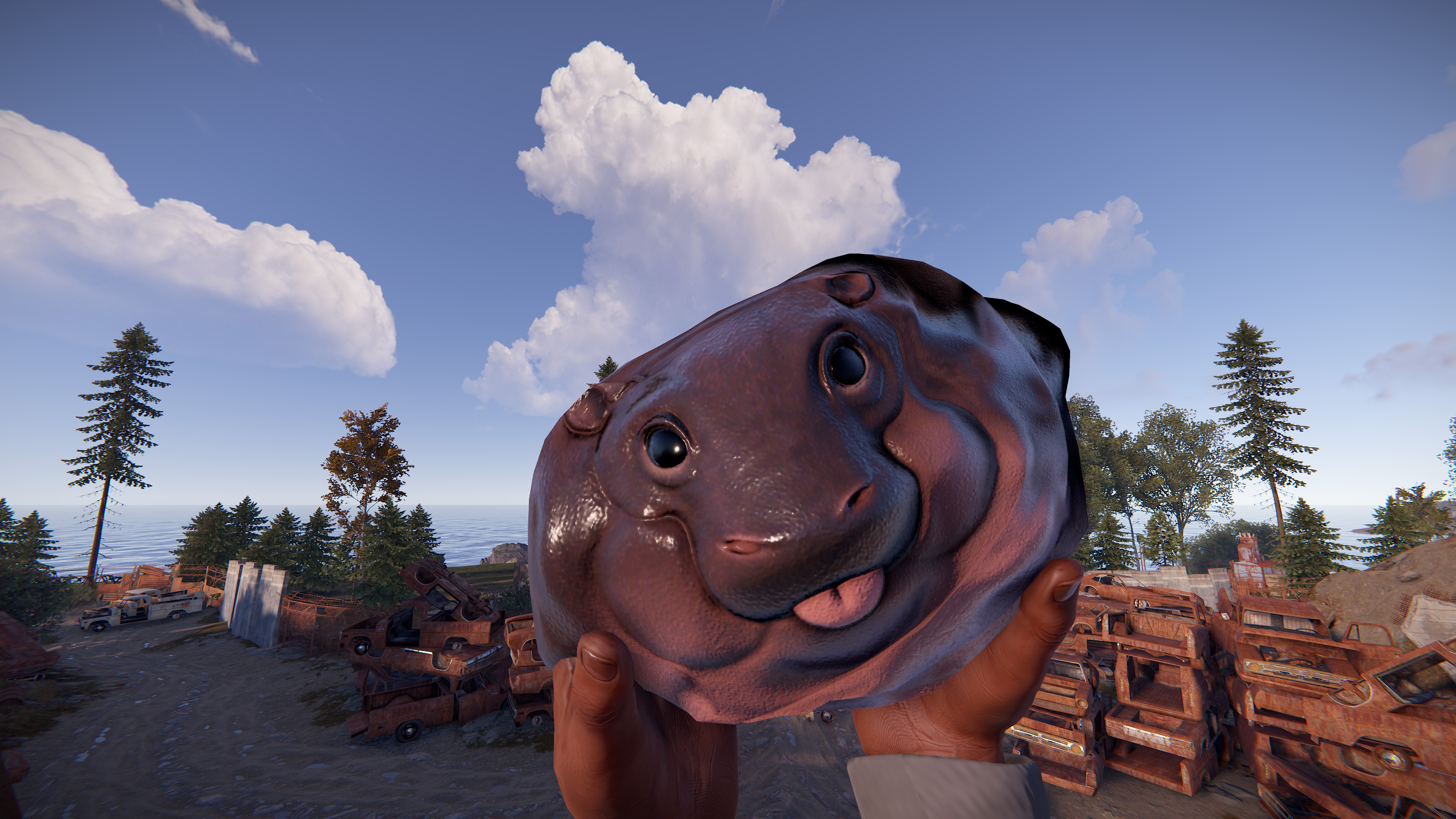 Baby Hippo Rock thumbnail 8