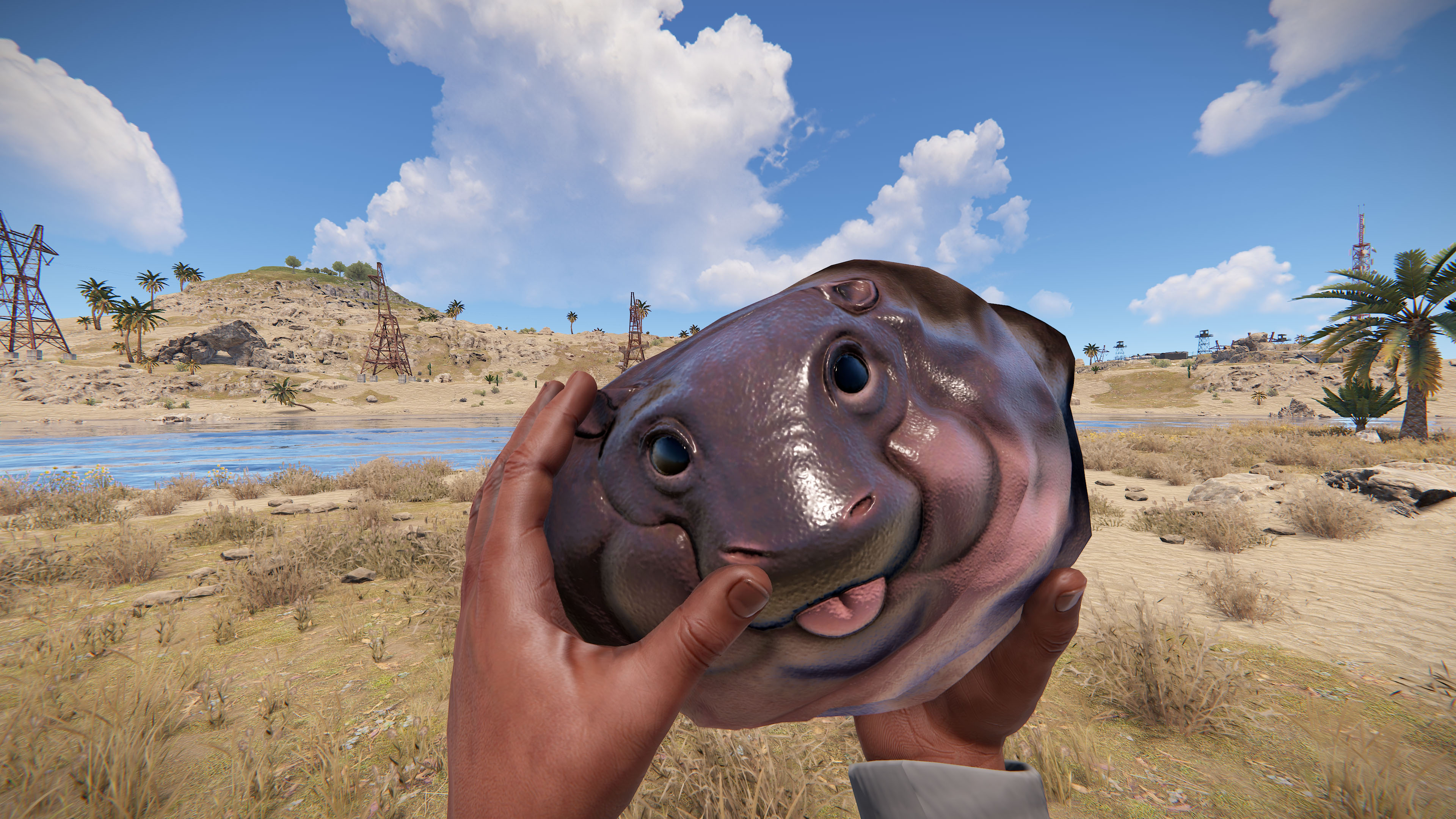 Baby Hippo Rock thumbnail 9