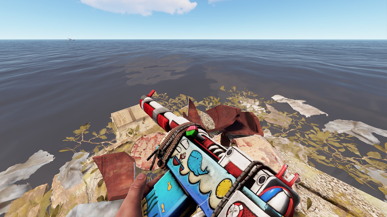 Beach Day SAR thumbnail 4