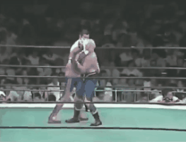 D12F2F9A929DA13F7568150228686DA4C0713529