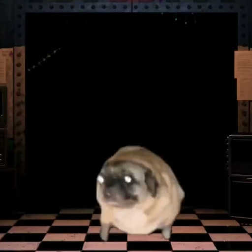 Dancing pug best sale