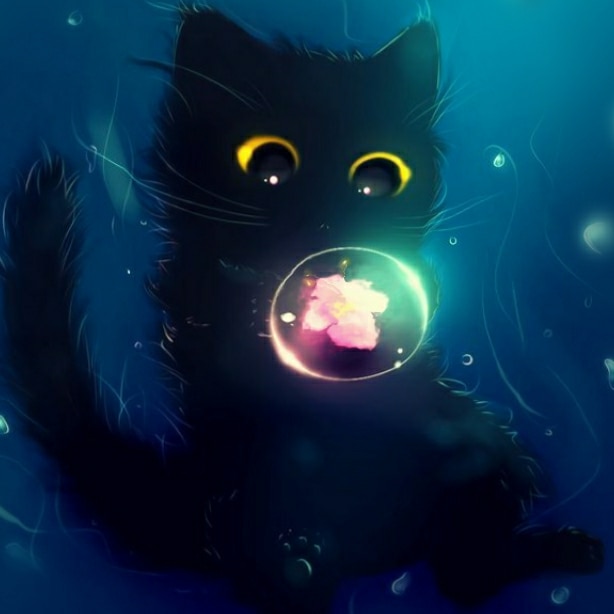 cute cat