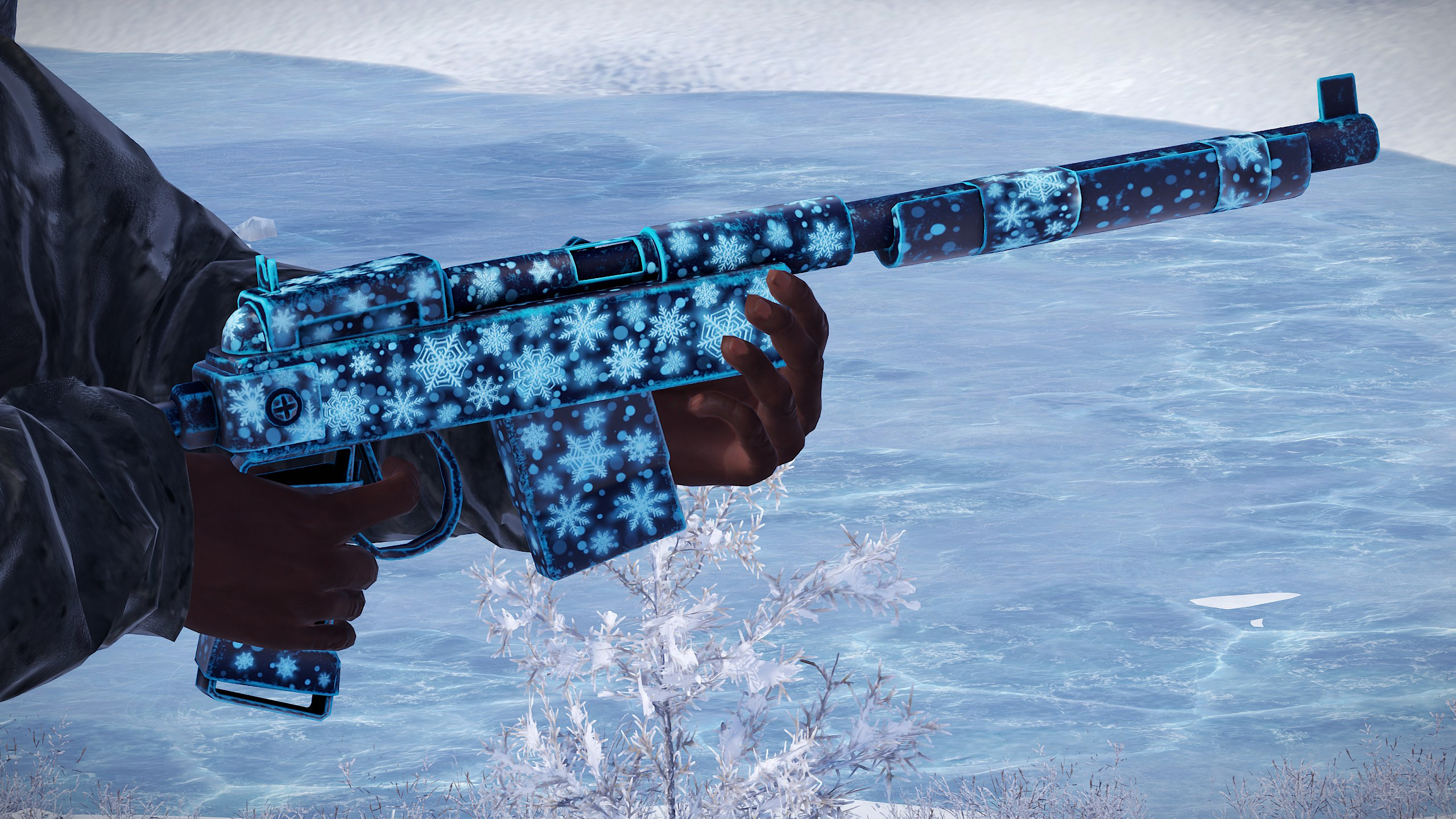 Snowflake SAR thumbnail 2