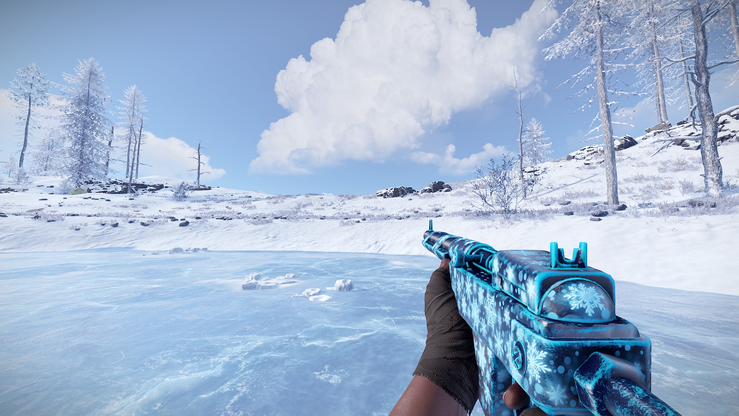 Snowflake SAR thumbnail 6