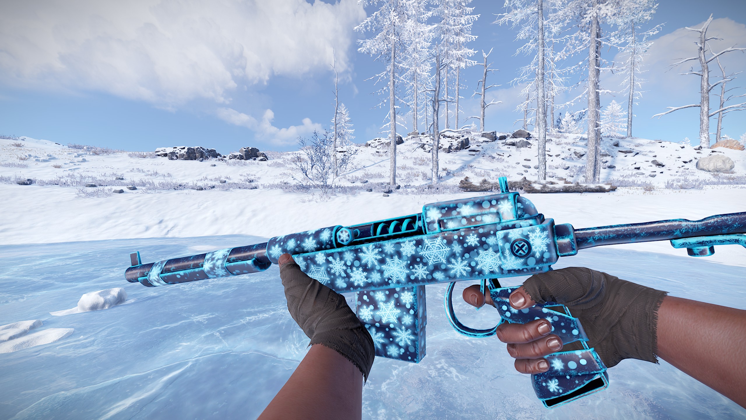 Snowflake SAR thumbnail 7