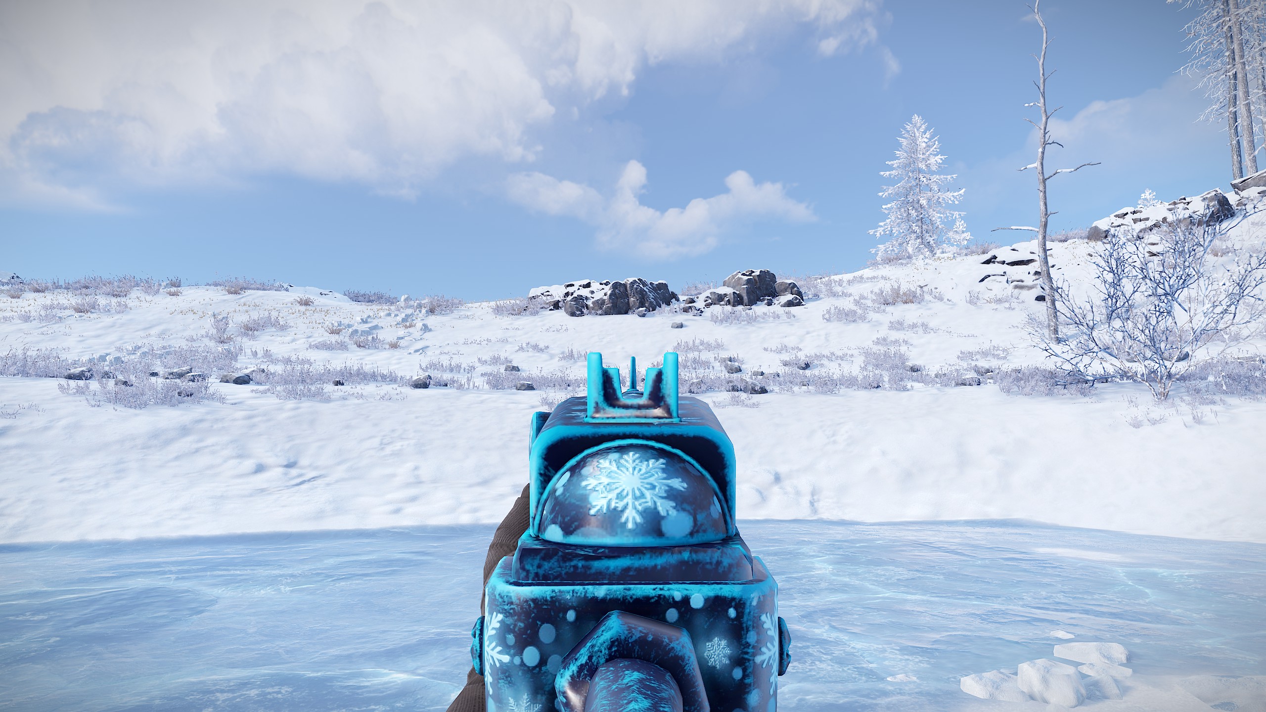 Snowflake SAR thumbnail 8