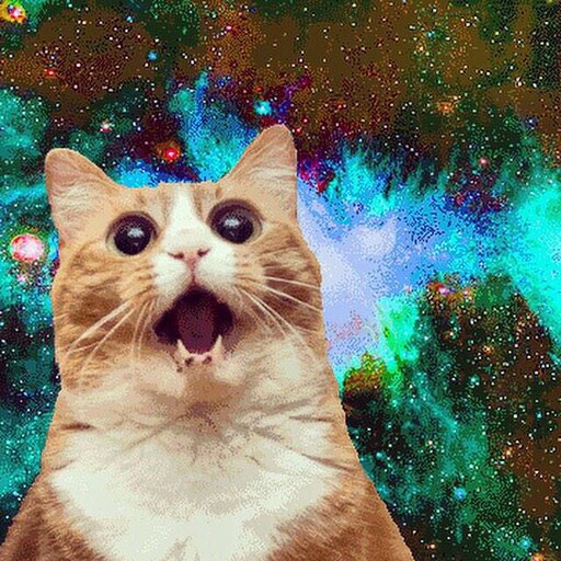 Мем с котом под музыку Мем с котом под музыку