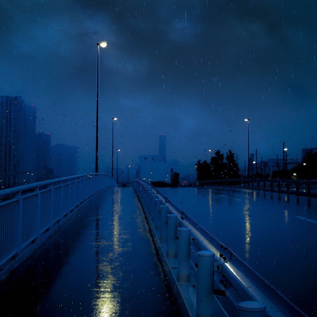 Rainy Night City | Wallpapers HDV