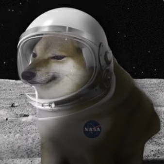Cheems Dog Goes To The Moon