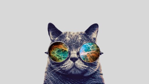 Топовые картинки на обои телефона. Кот в очках картинки. Кот в очках обои. Крутой кот. Заставка кот в очках.