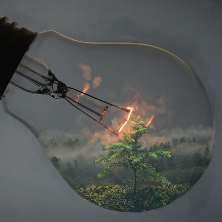 Nature in a Lightbulb