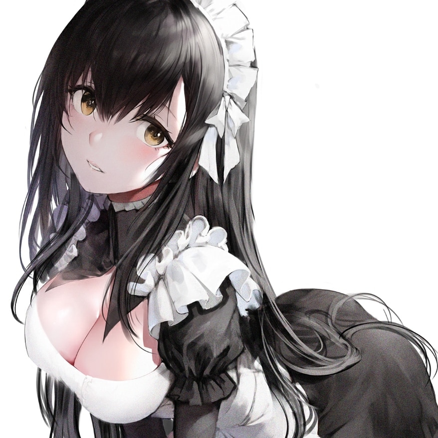 Black hair maid (X-Ray)