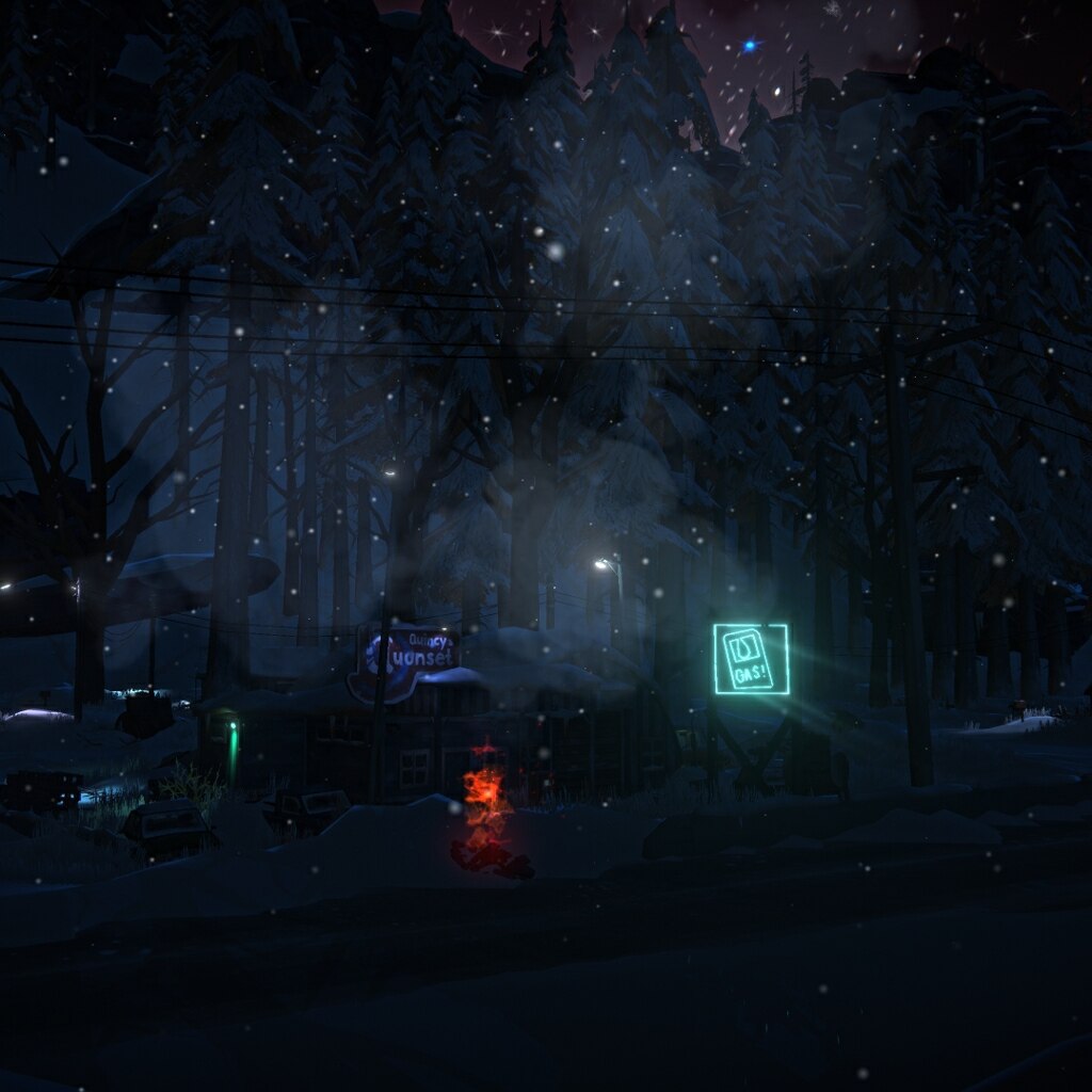 The Long Dark