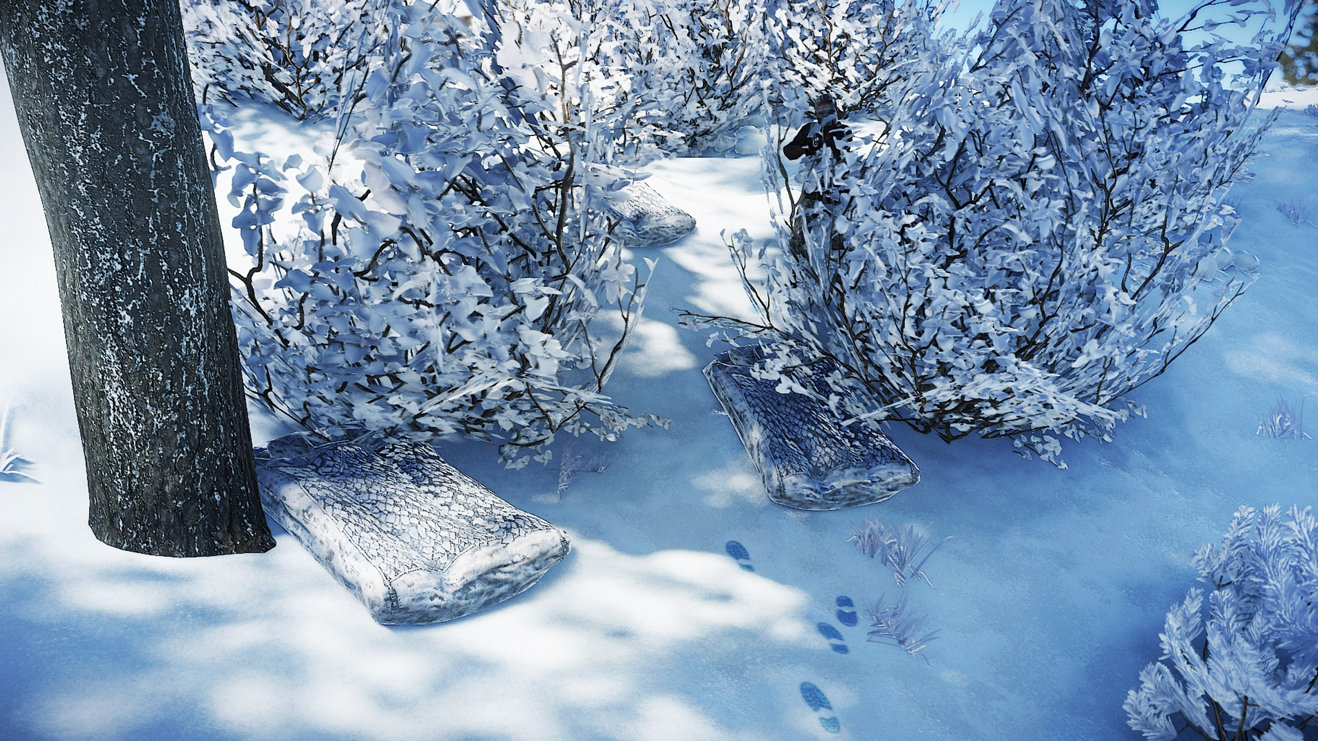 Winter Scout thumbnail 4