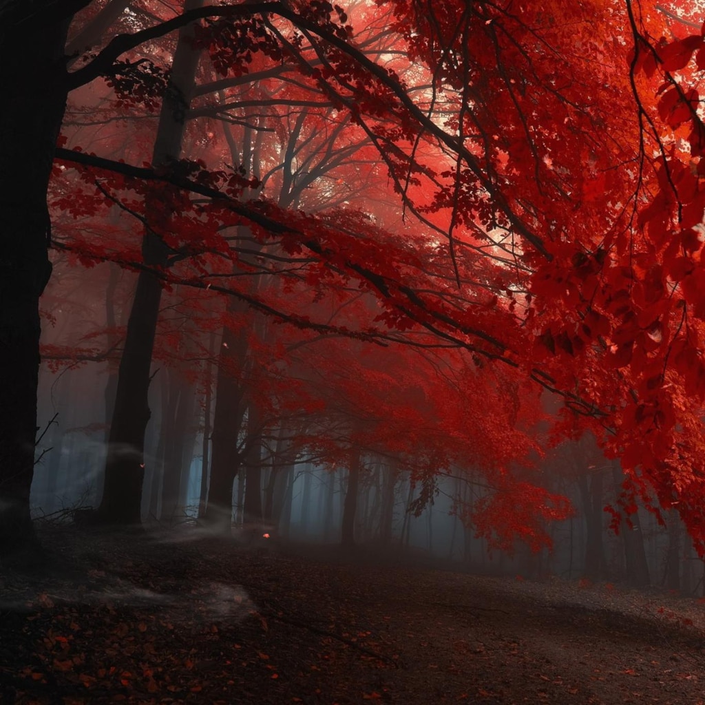 RedForest