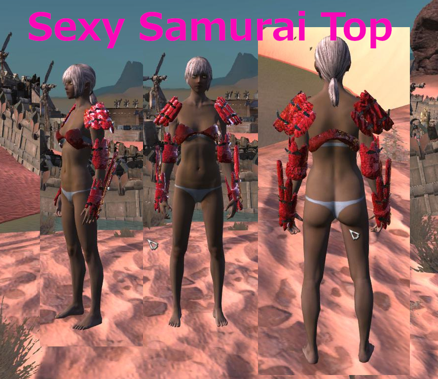 Steam Workshop Sexy Armour Vanilla Remake
